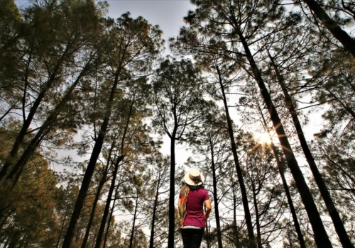 Trekking Near Kathmandu