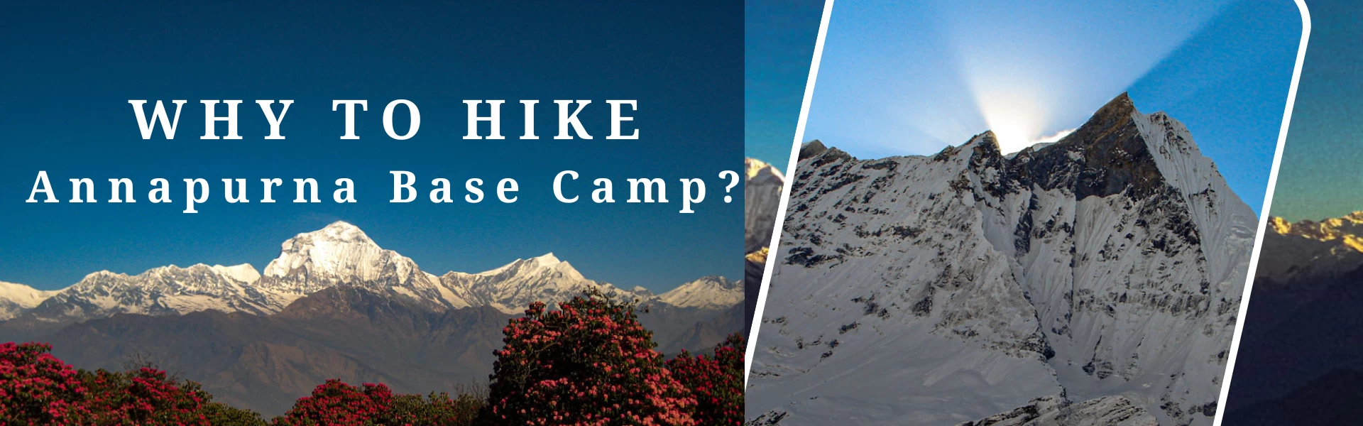 why to hike annapurna base camp