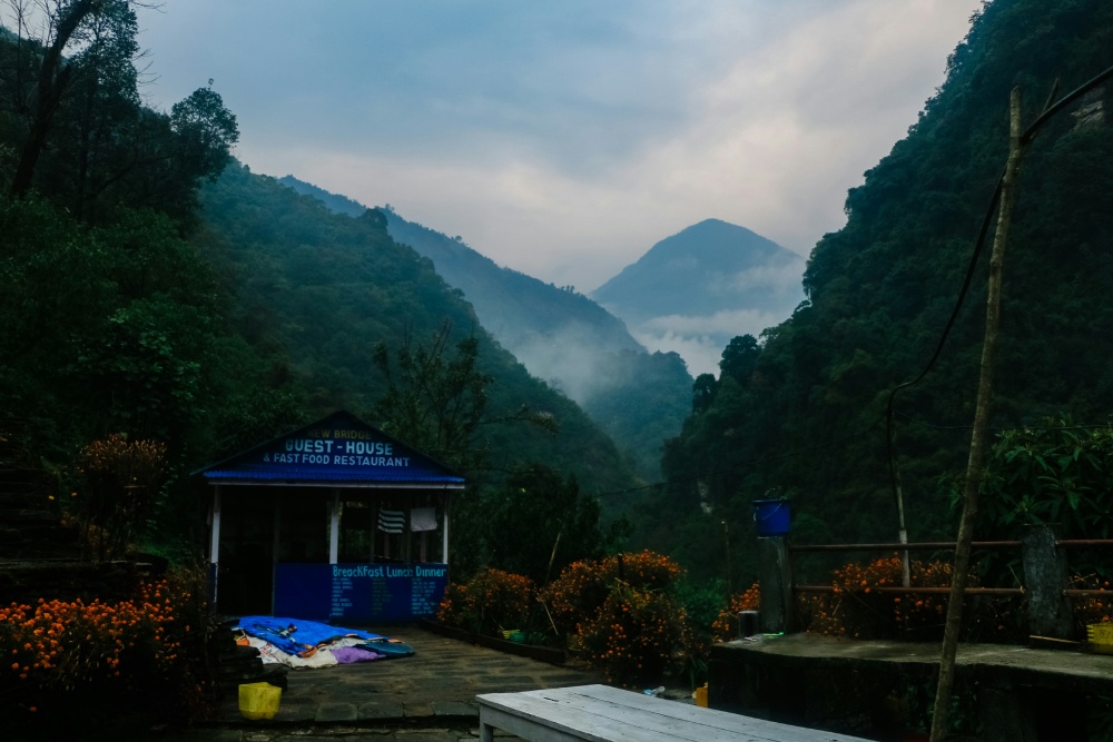 annapurna tea house