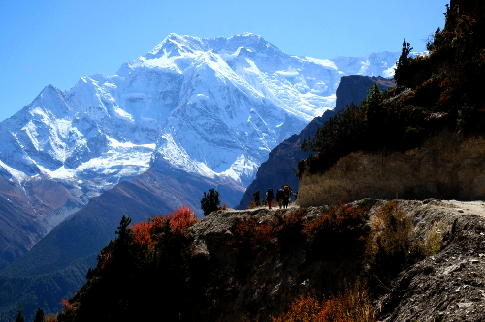 nilgiri himal