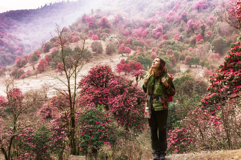 Trekking Season in Nepal