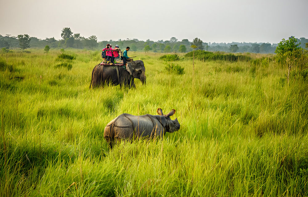 Chitwan Tour Nepal