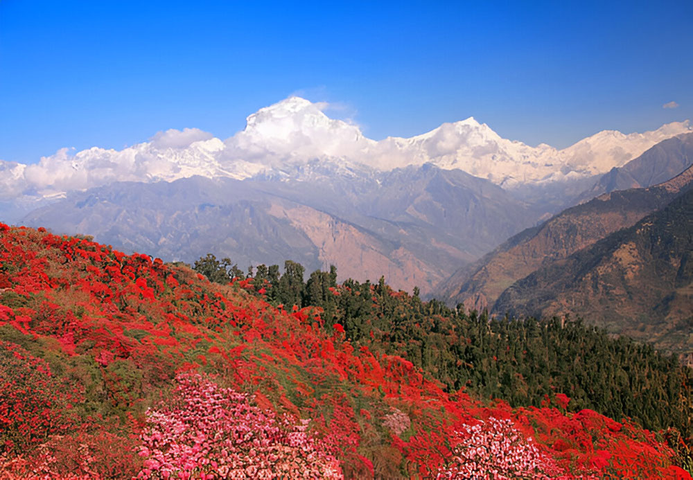 Spring in Nepal