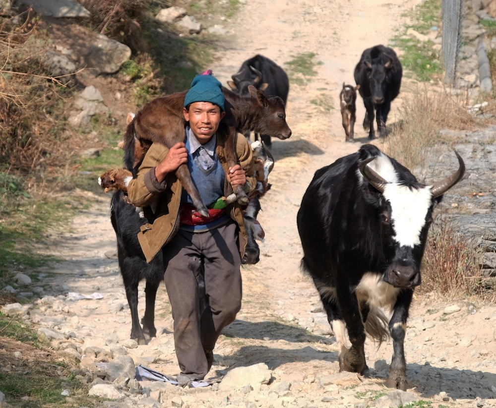 langtang locals