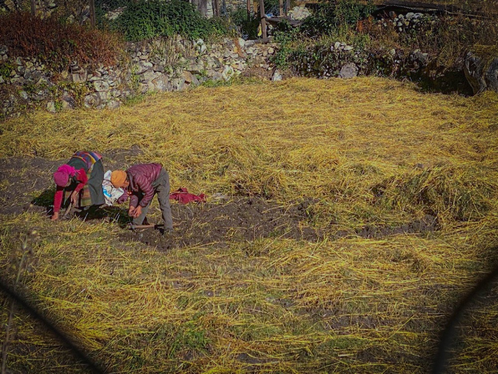 bihi village local farmers nepal