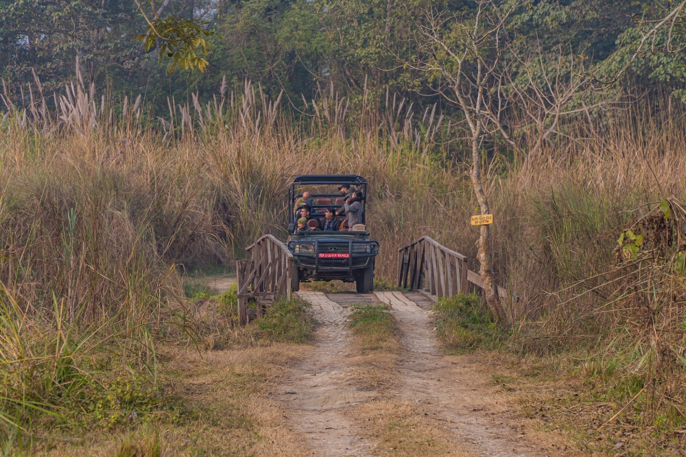 chitwan jungle jeep safari