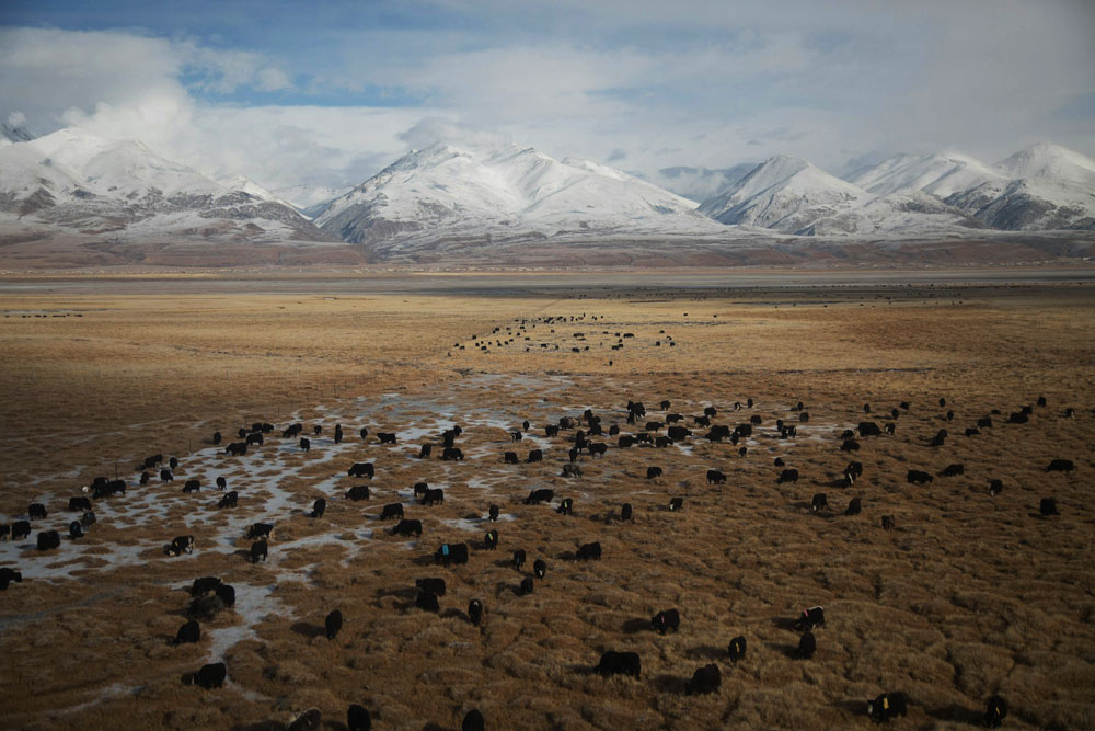 Private Tour in Tibet