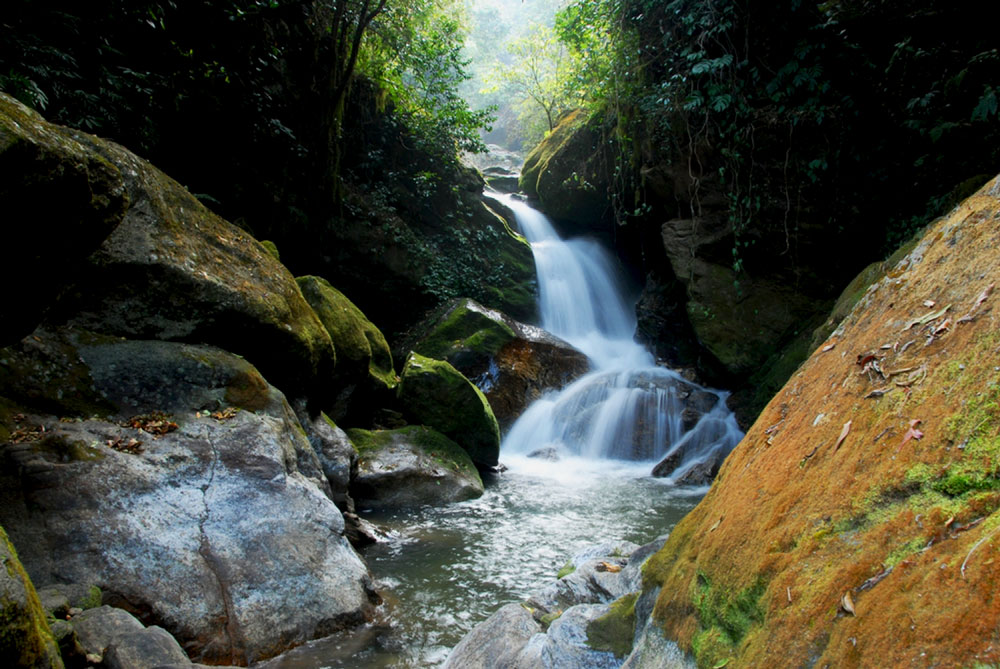 Sundarijal Chisapani Nagarkot Trek