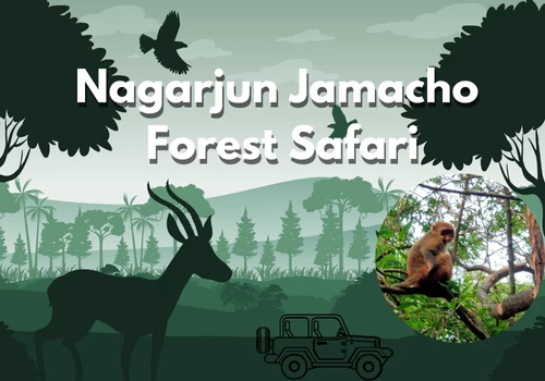 Nagarjun Jamacho Forest Safari
